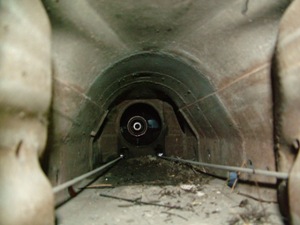 1962 Cadillac Driveshaft tunnel