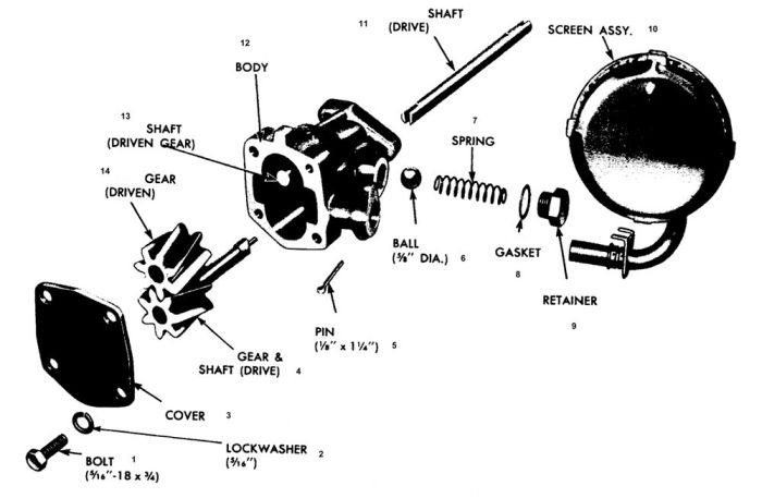 1955-75 OIL PUMP Exploded View