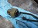 Camshaft Sensor