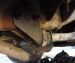 Radius Arm Bushing