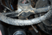 1968 Firebird Restoration Images