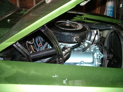 68 Firebird fresh paint engine compartment