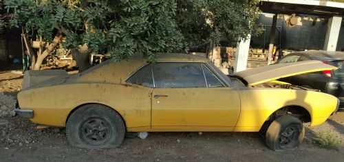 1967 Firebird