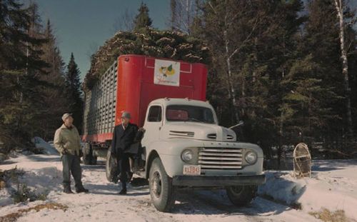 Ford truck with tree trimings